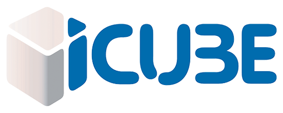 ICube institute Logo